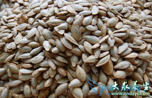 ����ʳ��������ǿʢ��˥(3)