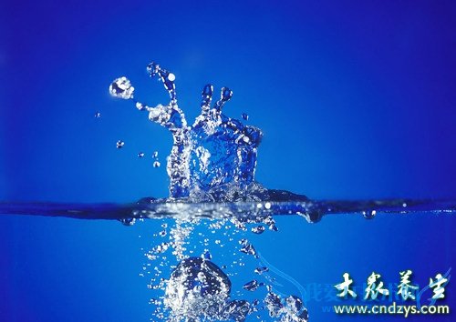 ����ʳ��������ǿʢ��˥(9)