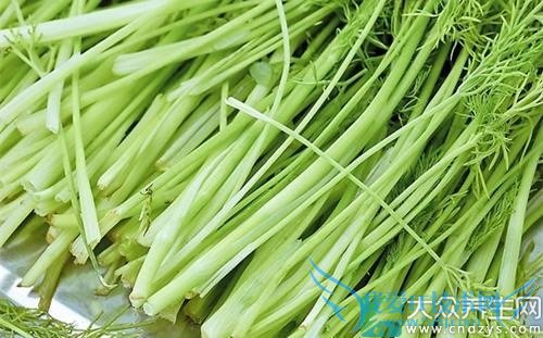 �԰���Ů��Խ��Խ���� ����ʳ��ǿŮ��������(11)