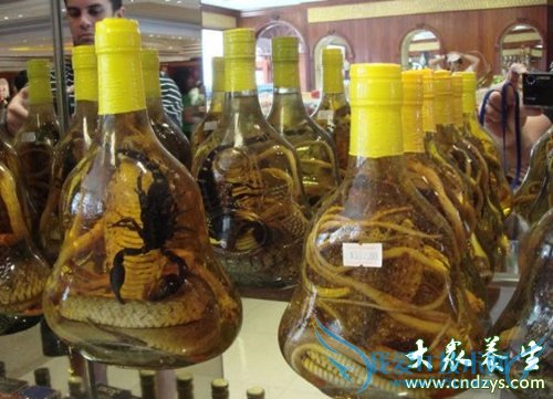 �и��ܺ�ҩ����