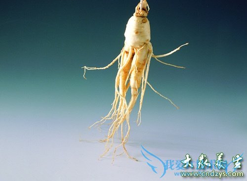 10����ҩ��Ů�˷��ϻ�ͯ (10)