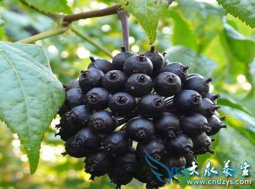 10����ҩ��Ů�˷��ϻ�ͯ (5)