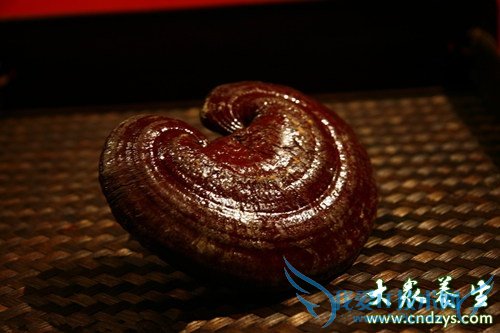 10����ҩ��Ů�˷��ϻ�ͯ (6)