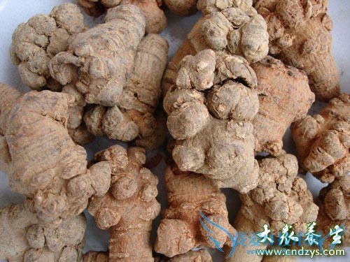 10����ҩ��Ů�˷��ϻ�ͯ (4)