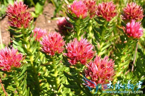 10����ҩ��Ů�˷��ϻ�ͯ (7)