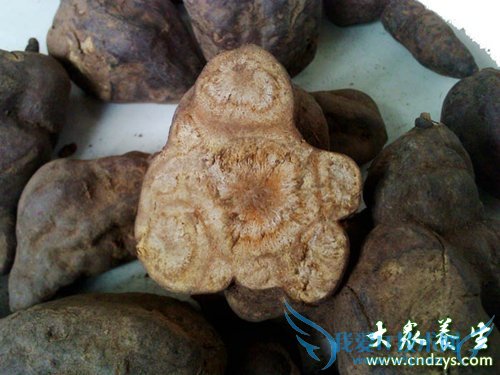 10����ҩ��Ů�˷��ϻ�ͯ (3)