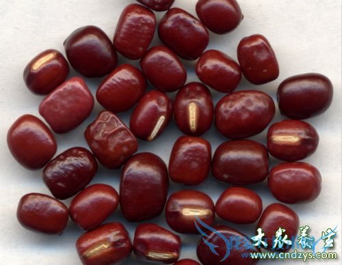 �и����ԳԳ�С����