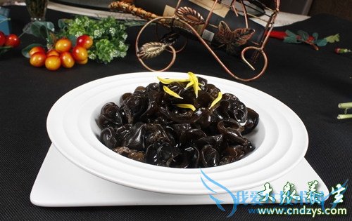 �����ܳ��ƶ���  