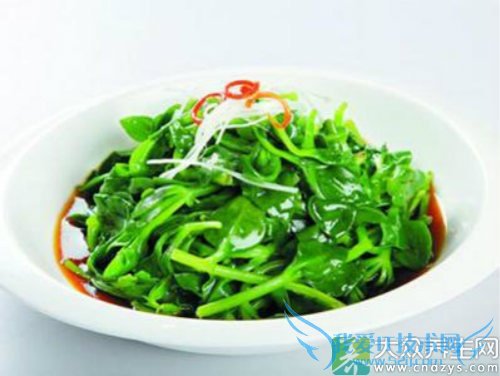 �����ܳԴ�������