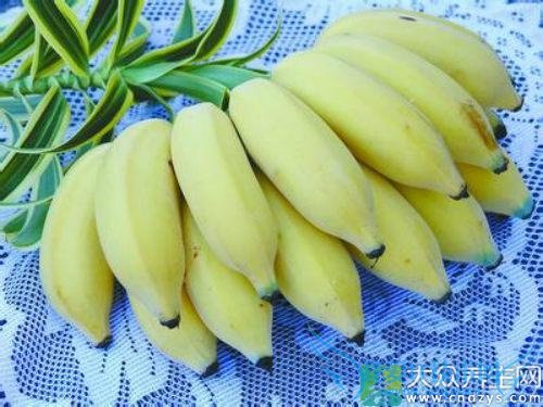 ��Ѫѹ�ܳ԰Ž���