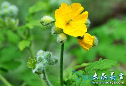 �����ϻ����ҳ� 4�������и�Զ���ϻ���(1)