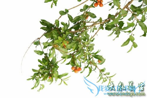 ���п��Գ����Ҷ��