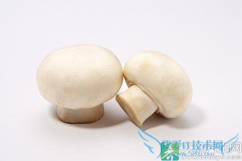 �и��ܳ�Ģ����