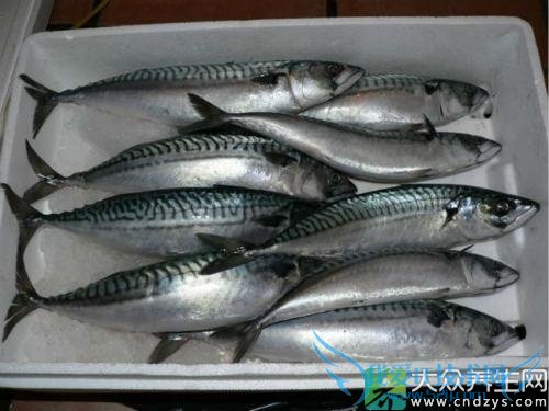 �������ܳ�������