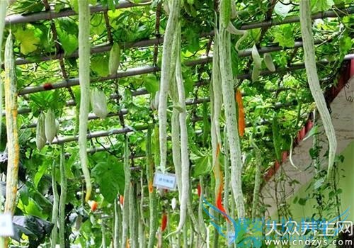 �и��ܳ��߹���