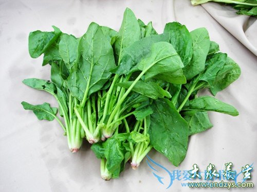 �ʺ϶�ͯ�Ե����ʳ�����а�(3)