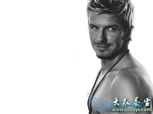 ������������Ҫ�Ĳ�ҩ(5)