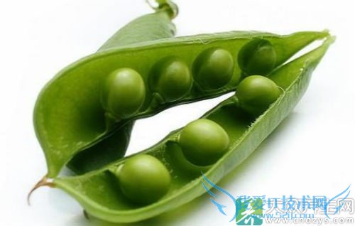 �����ܳ��㶹��