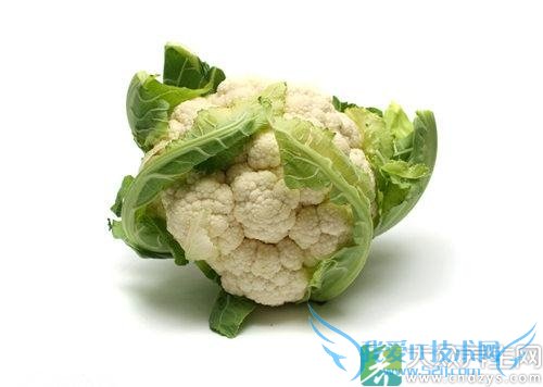 ���ֲ����˱���ʳ�õ��߲�(4)