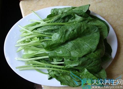 ���ֲ����˱���ʳ�õ��߲�(3)