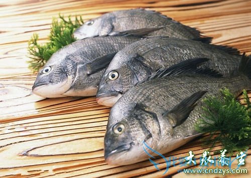 ���ھ�����������ʳ��(3)