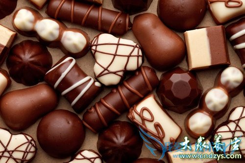 ���ھ�����������ʳ��(7)