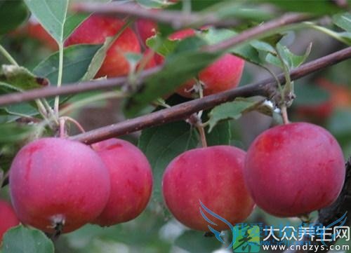 �����ܳ�ɳ����