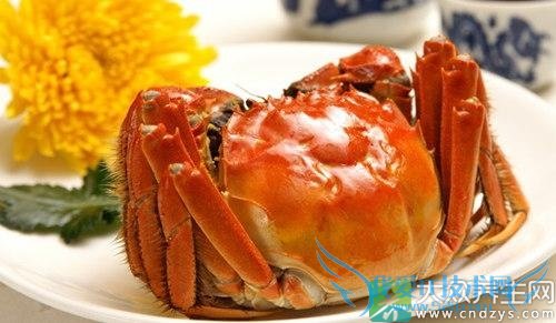 ��Ҫ�������� ����ʳ����8��ʳ����Բ�����  (1)