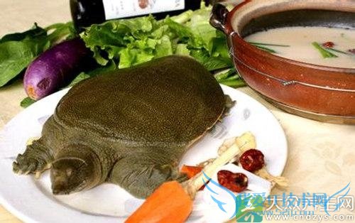 ��Ҫ�������� ����ʳ����8��ʳ����Բ�����  (2)