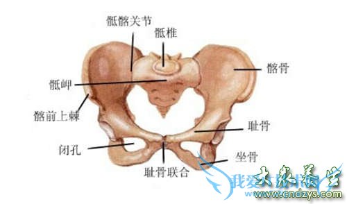 �ܹ�������