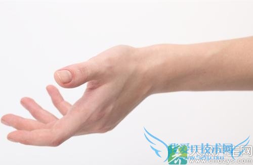 ����������Ƥ��Σ��