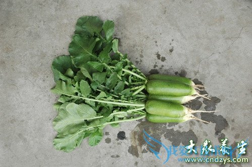 �����ܳ����ܲ���