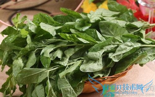 �����ܳ����Ҷ��