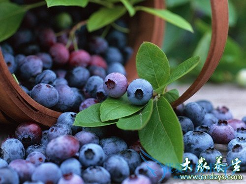 Ů�Զ�֢��10��ʳ��(5)