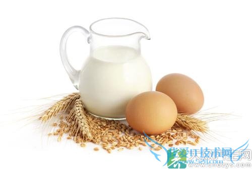 �׶��ܺȴ�ţ����