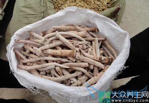 �������ܳ԰�����  