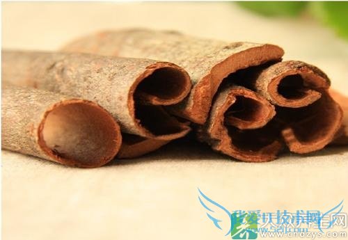 ����ʳ��ɽ��� ���Ѳ�Ҫ����(15)