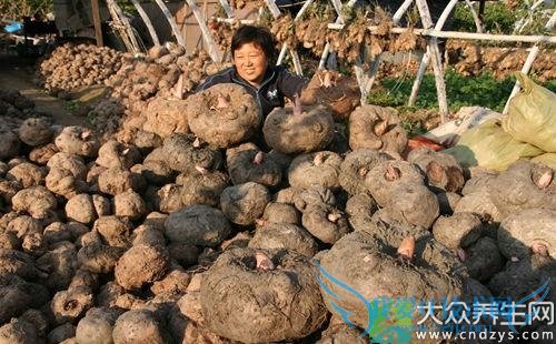 ����ʳ��ɽ��� ���Ѳ�Ҫ����(8)