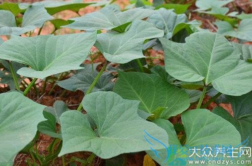 ����ʳ��ɽ��� ���Ѳ�Ҫ����(5)