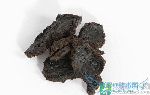 �����ܳԵػ���