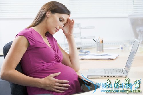 �и�Ƶ��������