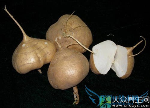 �������ܳԶ�����