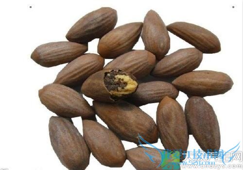 ��Ѫѹ�ܳ������