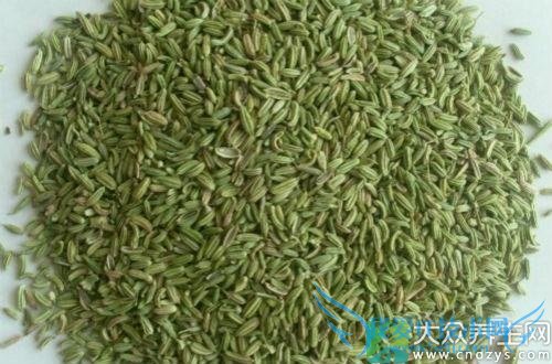 �����ܳ�������