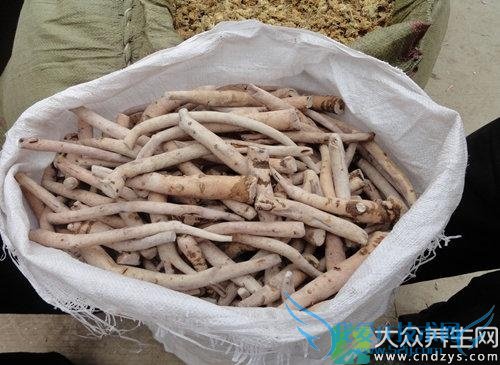 Ƥ�������ܳ԰�����