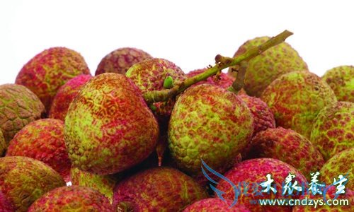 �����ܳ���֦�� 