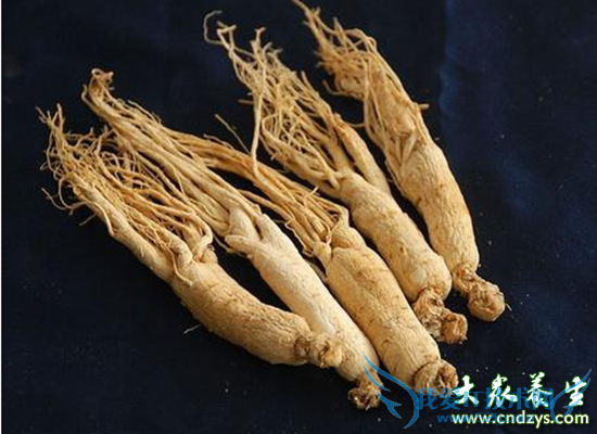 �������ָ��ؿ� �����ɲ��ܺ���(4)