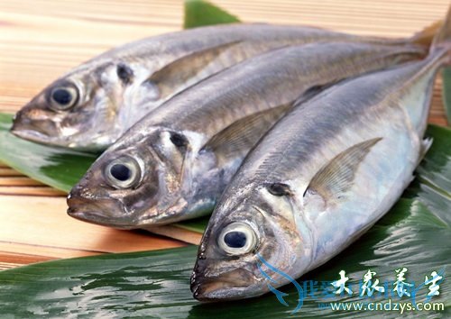 6��ʳ�� �Գ�Ů�ˡ�ˮ�������۾� (5)