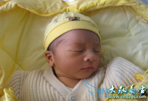 ����ʪ��֢״����������(2)