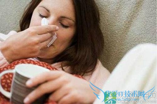 ����껷�ƻ���ע������